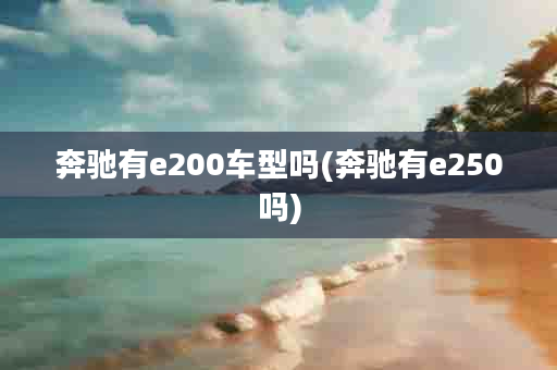 奔驰有e200车型吗(奔驰有e250吗)