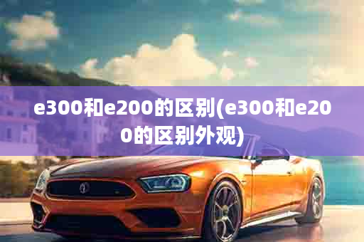 e300和e200的区别(e300和e200的区别外观)