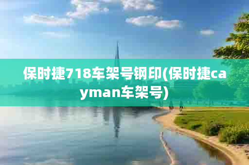 保时捷718车架号钢印(保时捷cayman车架号)