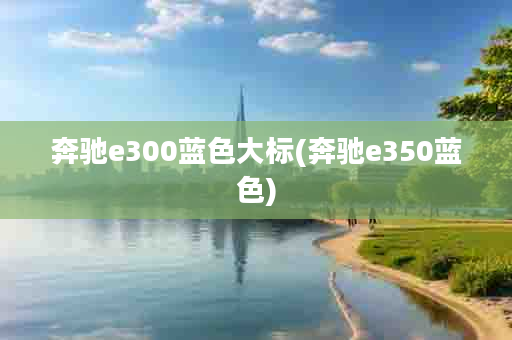 奔驰e300蓝色大标(奔驰e350蓝色)