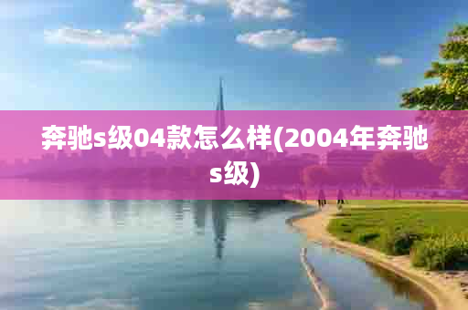 奔驰s级04款怎么样(2004年奔驰s级)