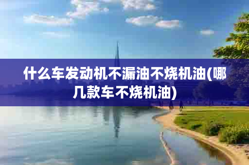 什么车发动机不漏油不烧机油(哪几款车不烧机油)