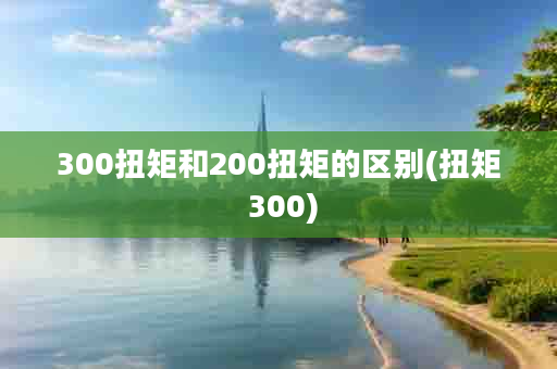 300扭矩和200扭矩的区别(扭矩 300)