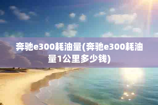 奔驰e300耗油量(奔驰e300耗油量1公里多少钱)