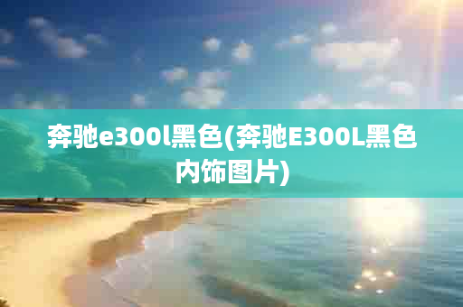 奔驰e300l黑色(奔驰E300L黑色内饰图片)