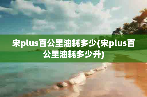 宋plus百公里油耗多少(宋plus百公里油耗多少升)