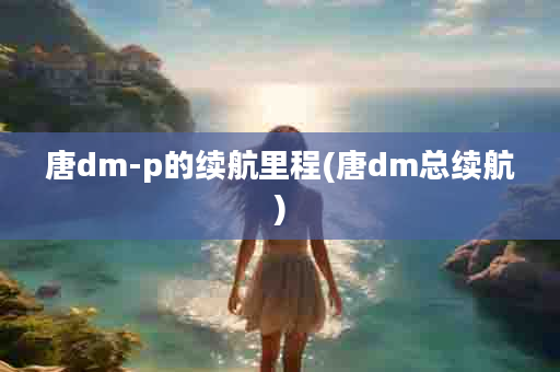 唐dm-p的续航里程(唐dm总续航)